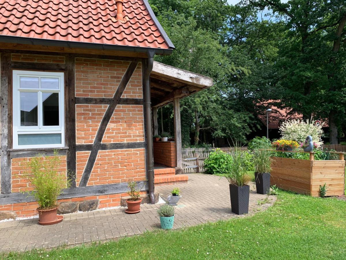 Ferienwohnung Muehlendamm Bergen  Ngoại thất bức ảnh